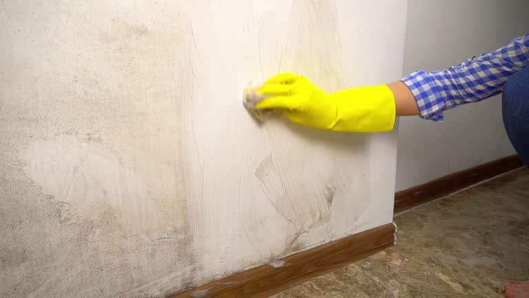 Best Mold Removal for HVAC Installations  in Hughes Springs, TX